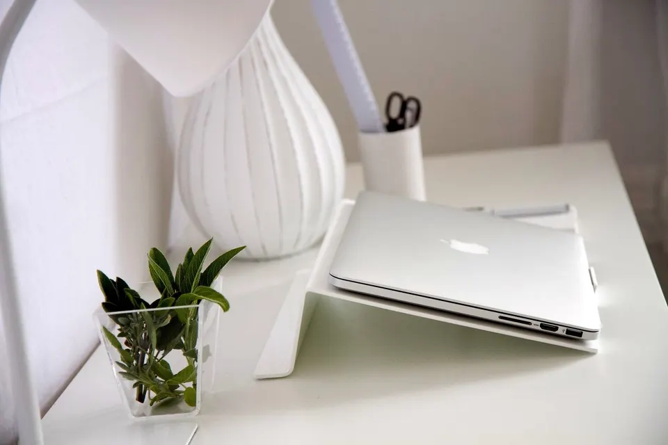 A tidy desk with a closed laptop, a small potted herb, and a white lamp
